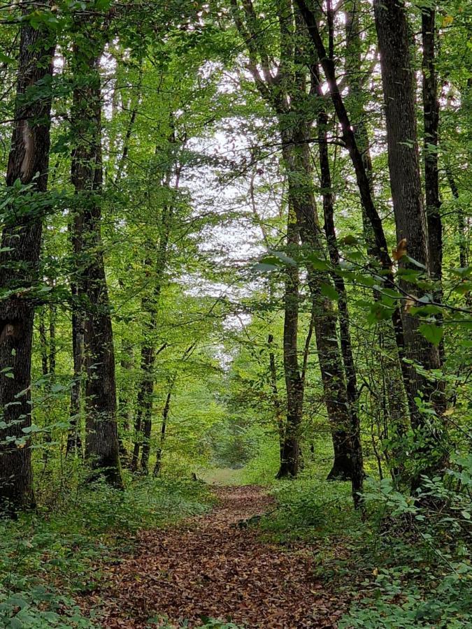 Chambre D'Hotes "Au Bord De Loire" La Marche Eksteriør billede
